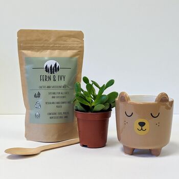 Plant Your Own Succulent Kit With Bear Pot, 3 of 5