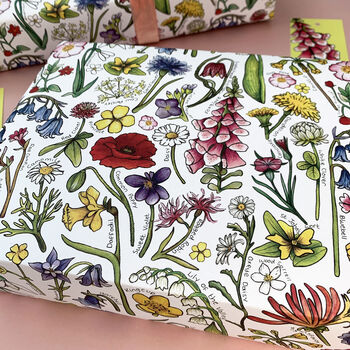Wildflowers Of Britain Wrapping Paper Set, 10 of 11