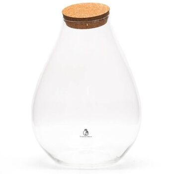 Large Teardrop Glass Container | H: 37 Cm, 5 of 5