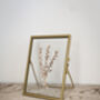 Gold Antique Pressed Flower Frame: Natural Maize Small, thumbnail 1 of 6
