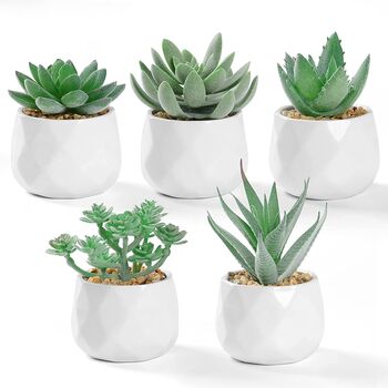 Five Mini Artificial Succulent Plants In White Pots, 8 of 11
