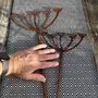 Set Of Two Cow Parsley Garden Stakes Ltkot018, thumbnail 5 of 5