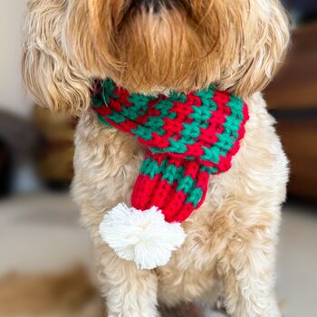 Knitted Pet Scarf, 4 of 9