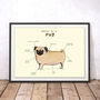 Anatomy Of A Pug Art Print By Sophie Corrigan, thumbnail 1 of 4