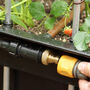 Urban Self Watering Vegetable Allotment, thumbnail 5 of 11