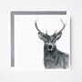 Stag Wildlife Greeting Card, thumbnail 3 of 7