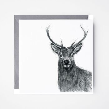 Stag Wildlife Greeting Card, 3 of 7
