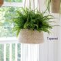 Jute And Seagrass Hanging Planters, thumbnail 4 of 4