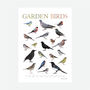 British Garden Birds Illustrated Print, thumbnail 2 of 6