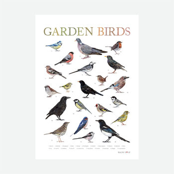 British Garden Birds Illustrated Print, 2 of 6