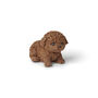 Solid Chocolate Teddy Dog, thumbnail 3 of 4