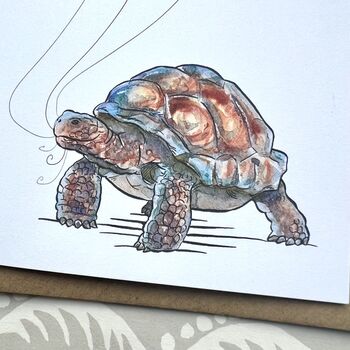 Tortoise Mother's Day Card, 2 of 3