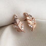 Sterling Silver Sparkly Feather Stud Earrings, thumbnail 4 of 9