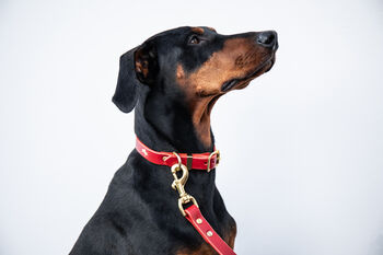 Personalised Luxury Leather Dog Collar, 6 of 12