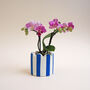 Small Stripy Scalloped Pot Choose Your Colours, thumbnail 2 of 11