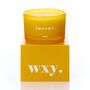Sunshine And Cedar Lucent Candle, thumbnail 2 of 4