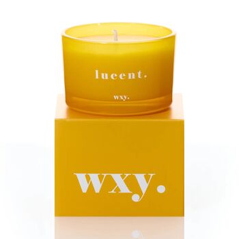 Sunshine And Cedar Lucent Candle, 2 of 4