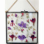 Gilded Mixed Pressed Flower Frame, thumbnail 6 of 8