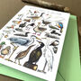 Water Birds Of Britain Greeting Card, thumbnail 9 of 12