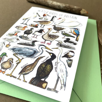 Water Birds Of Britain Greeting Card, 9 of 12
