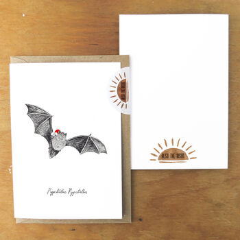 Pipistrelle Bat Christmas Cards, 2 of 5