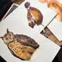 Wildlife Lampshade, thumbnail 5 of 7