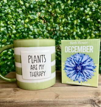 Plants Are My Therapy Gift Set, 5 of 6