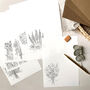 Birth Flowers Paper Writing Set, thumbnail 4 of 6