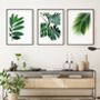 Set Of Three Botanical Green Leaves Prints, thumbnail 10 of 10