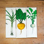Garden Vegetable Tea Towel Gift Box, thumbnail 1 of 5