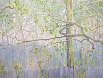 The Mother Tree, 4 of 10