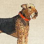 Airedale Terrier Feature Cushion, thumbnail 3 of 6