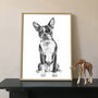 Boston Terrier Dog Portrait Print, thumbnail 1 of 3