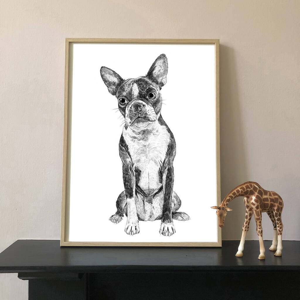 Boston Terrier Dog Portrait Print, 1 of 3