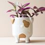 Natural Ceramic Dog Planter, thumbnail 1 of 4