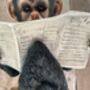 Monkey Reading Newspaper Ornament – Statue Figurine, thumbnail 5 of 9