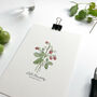 ‘Wild Strawberry’ Wildflower Notecard/Greeting Card, thumbnail 2 of 2