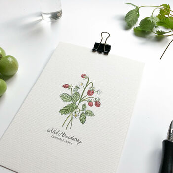 ‘Wild Strawberry’ Wildflower Notecard/Greeting Card, 2 of 2