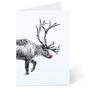 Animal Christmas Card Set Of Twelve, thumbnail 11 of 12