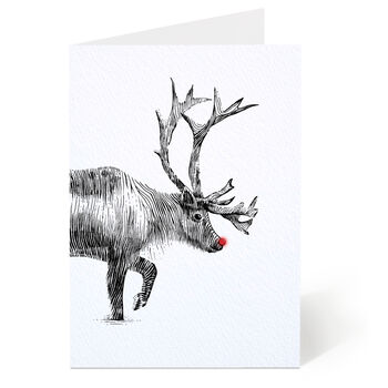 Animal Christmas Card Set Of Twelve, 11 of 12