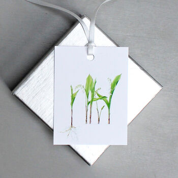 Floral Gift Tags With Lily Of The Valley Illustrations, 5 of 5