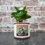 Retro Coffee Houseplant Pot Gift Surprise Plant, thumbnail 2 of 10