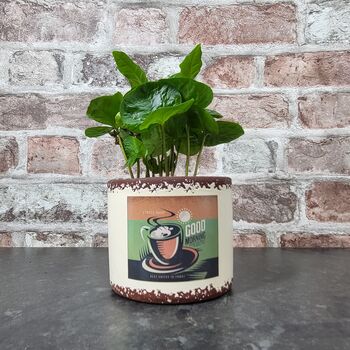 Retro Coffee Houseplant Pot Gift Surprise Plant, 2 of 10