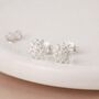 Sterling Silver Chrysanthemum Flower Stud Earrings – 8mm, thumbnail 1 of 8