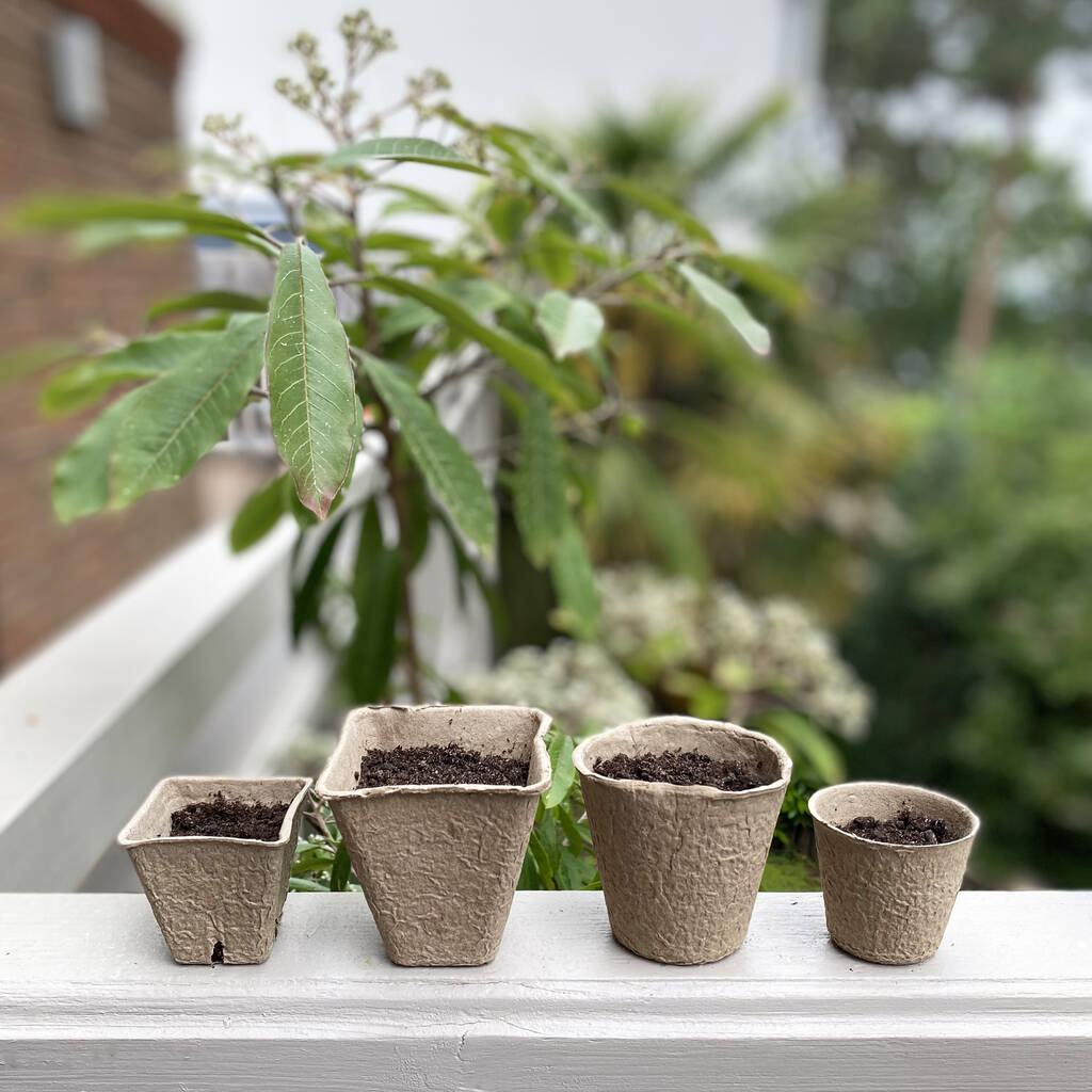 amazon fibre plant pots
