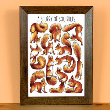 Red Squirrels Wildlife Watercolour Postcard, 10 of 10