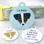 Jack Russell Personalised Pet ID Name Tag, thumbnail 6 of 12