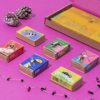 Wildflower Seeds For British Bees, 4 of 12