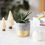 First Christmas As Mr And Mrs, thumbnail 2 of 3