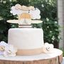 Personalised Plane Wedding Cake Topper, thumbnail 1 of 8